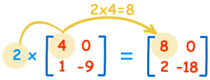 Multiplicación de una Matriz por una Constante