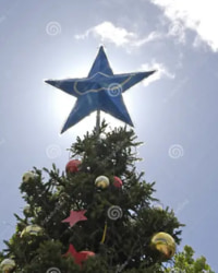 la estrella de navidad es un pentagrama